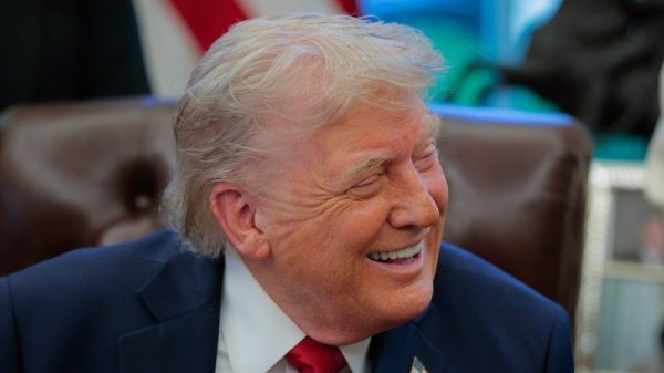 gettyimages-2211668043-800x450-qHVS0K.jpg
